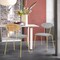 Armen Living Neo Modern Gray Velvet and Gold Metal Leg Dining Room Chairs, PK2 LCNESIGLGRY - alternate 5